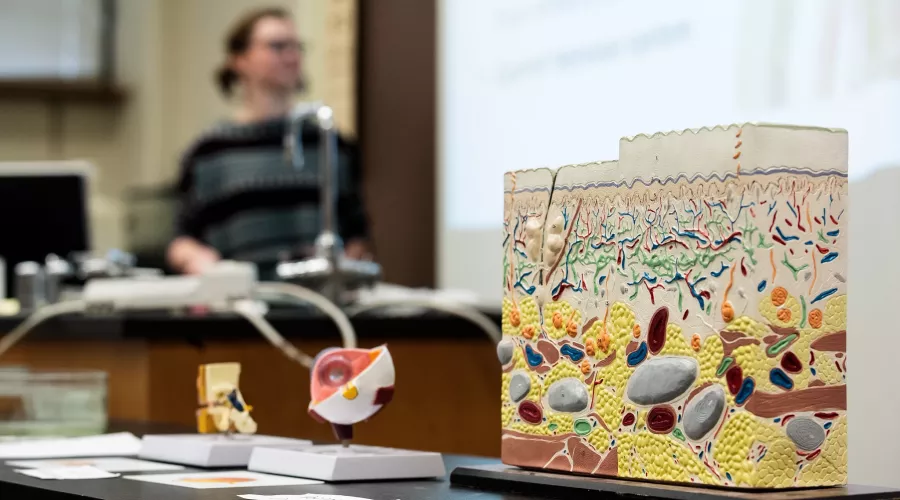 A diagram in Biology lab